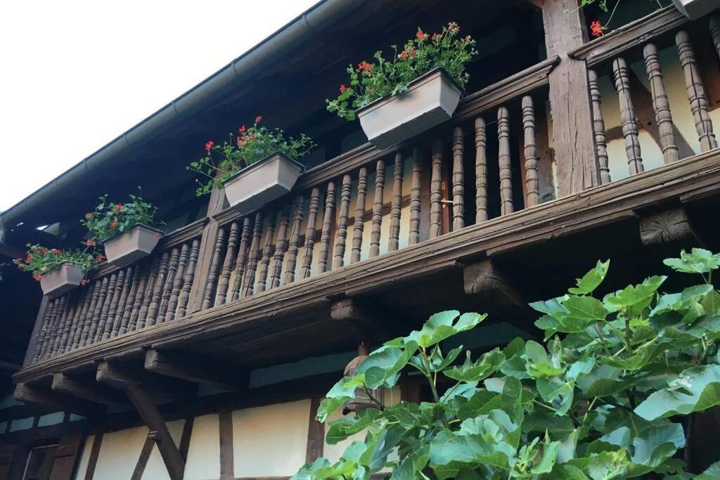 Gite Alsacien Eckwersheim المظهر الخارجي الصورة